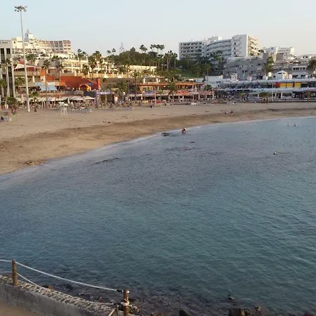 Tinerfe Garden Adeje * 아데제